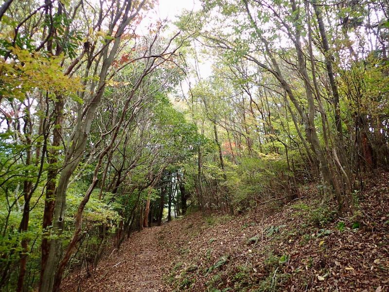 生石神社の方へ下りていく