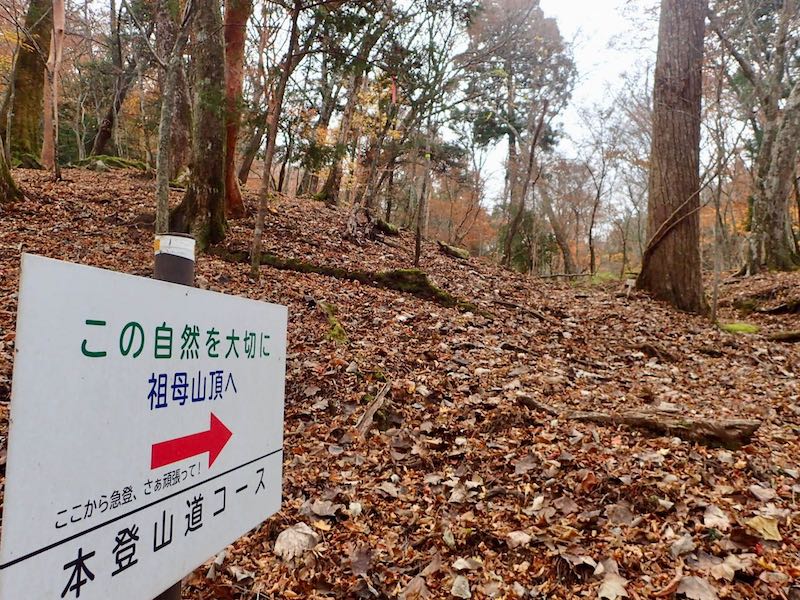 「ここから急登-さぁ頑張って！」