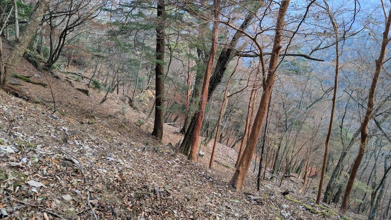 九折越小屋からの下りは落ち葉でわかりにくい