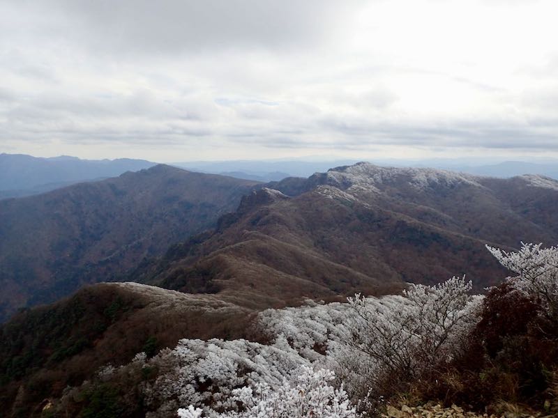 天狗岩、障子岳を経て左奥の古祖母山へ