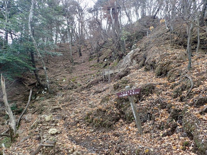 急登が続きます