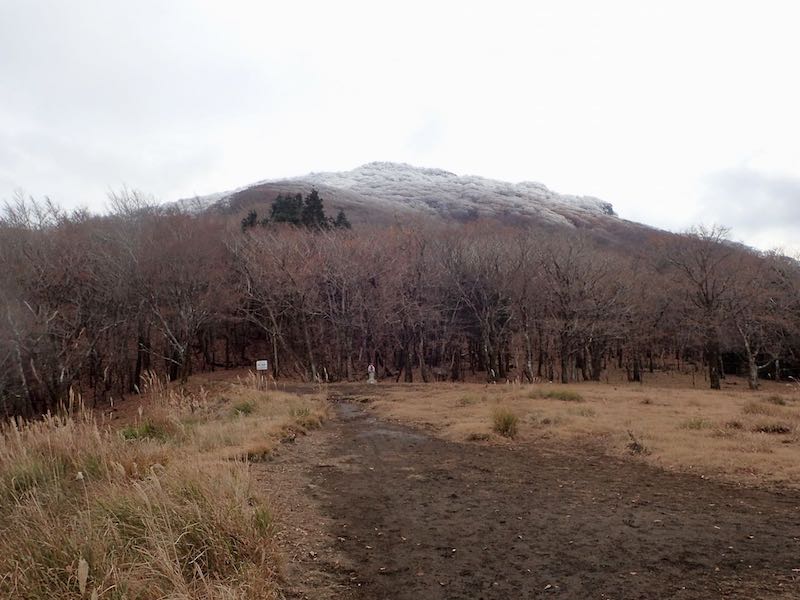国観峠に着くと、山頂部は思ってもいなかった樹氷！