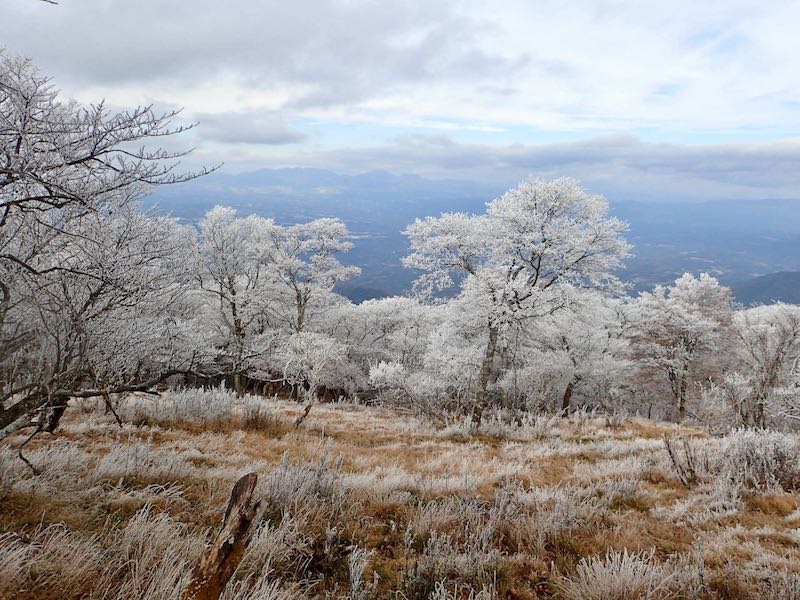 花が咲いたようだ-空が明るくなってきた