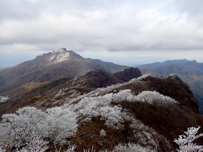 障子岳の頂上から見る祖母山