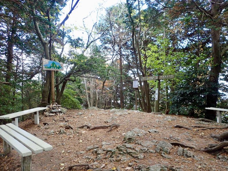 三上山の頂上