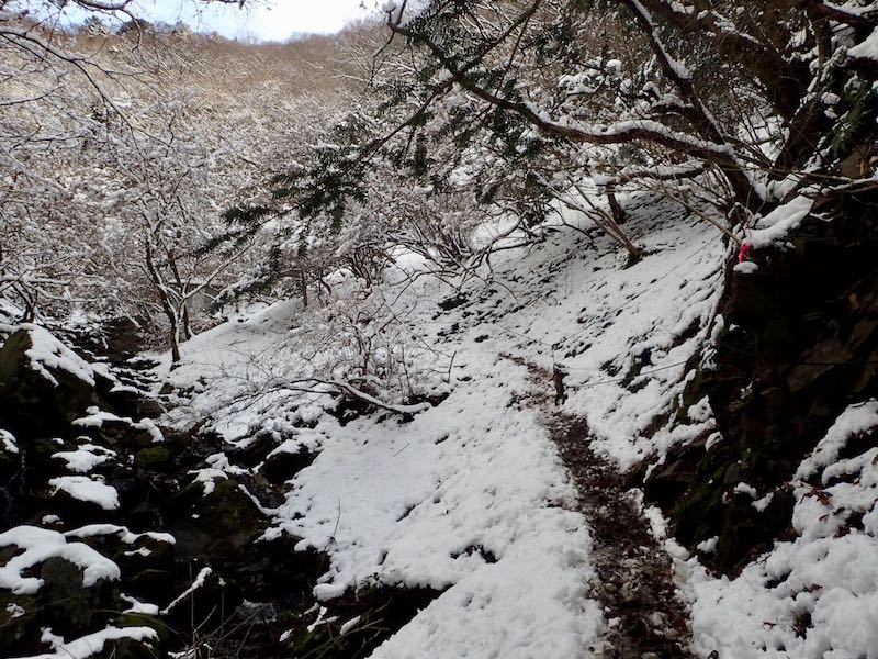 ロープがつけられている。左手に小屋が見える