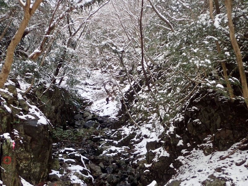 井戸谷は沢筋の道で少し険しくなる