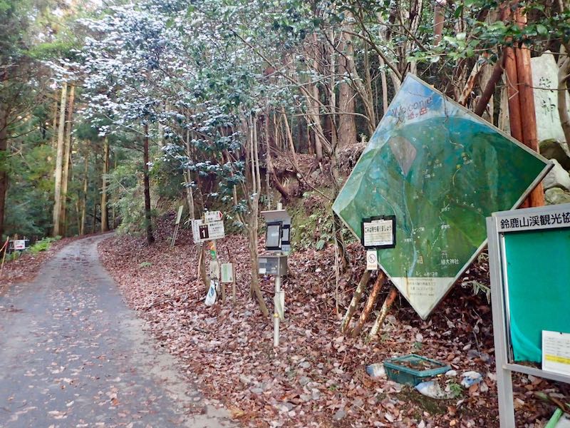 北尾根コースを右に見送り林道をそのまま進む