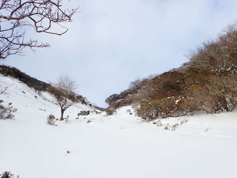 広い沢筋に雪がついている