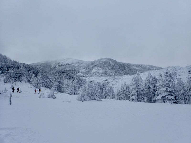 北横岳へ向かう人たち