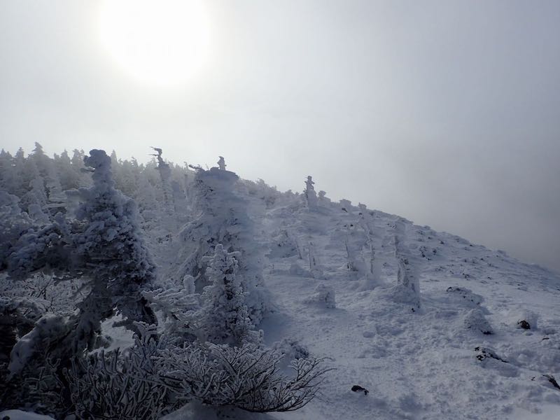 樹氷も育ちつつある？