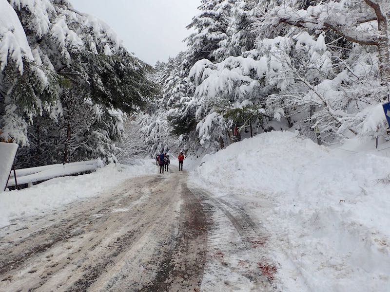 渋の湯手前で下車