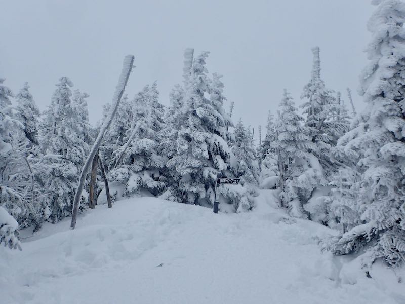 縞枯山についた