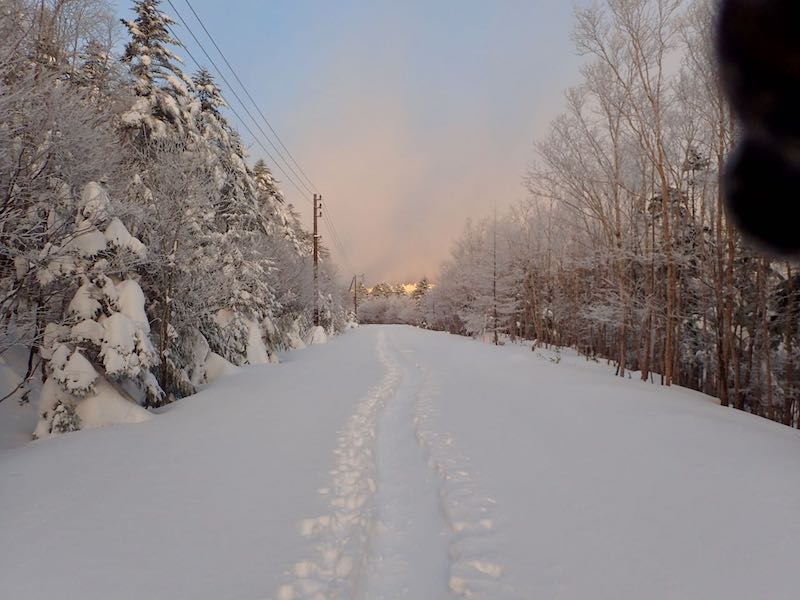 麦草峠へ国道を