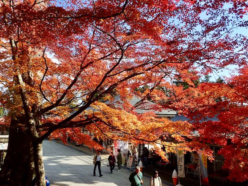 ここが一番赤かった