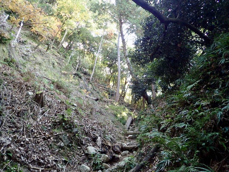 よく掘られたV字状の道