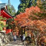 延暦寺に入る-紅葉がすごくなって来た
