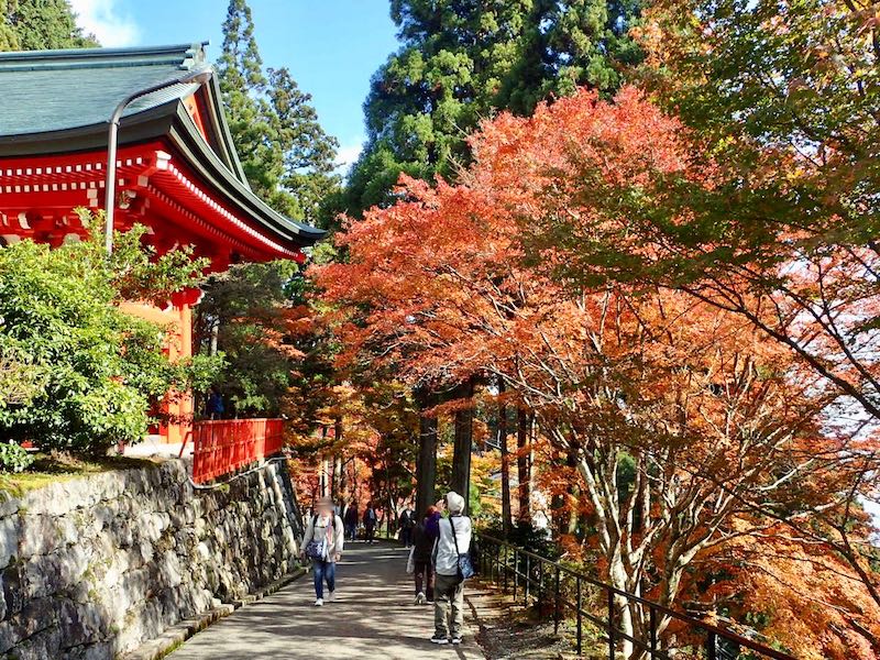 11月中旬 紅葉の比叡山　修学院から琵琶湖へ抜ける日帰りハイク