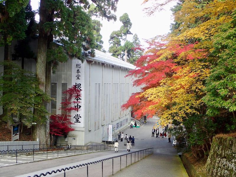 根本中堂は修繕中