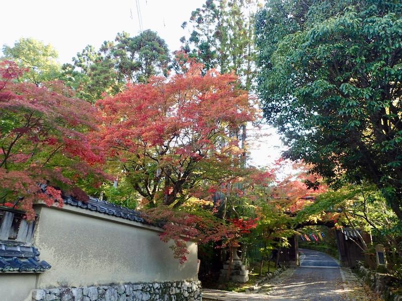 赤山禅院の紅葉