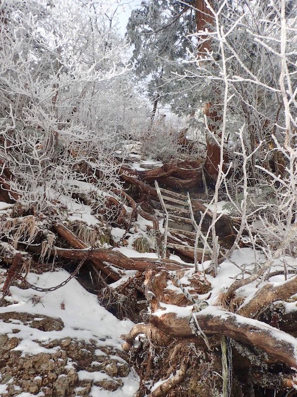 大日岳への鎖、はしご