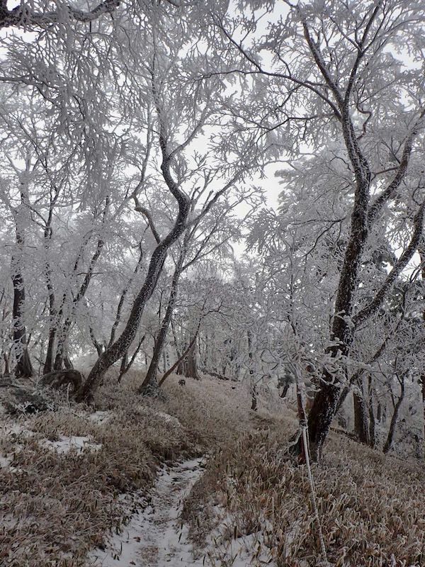 稲村ヶ岳、大日岳を目指す