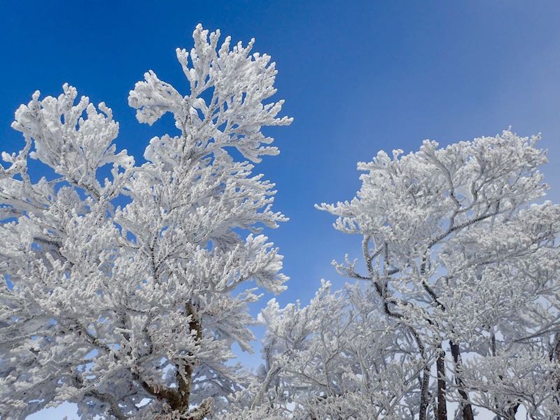 青空が一瞬でた