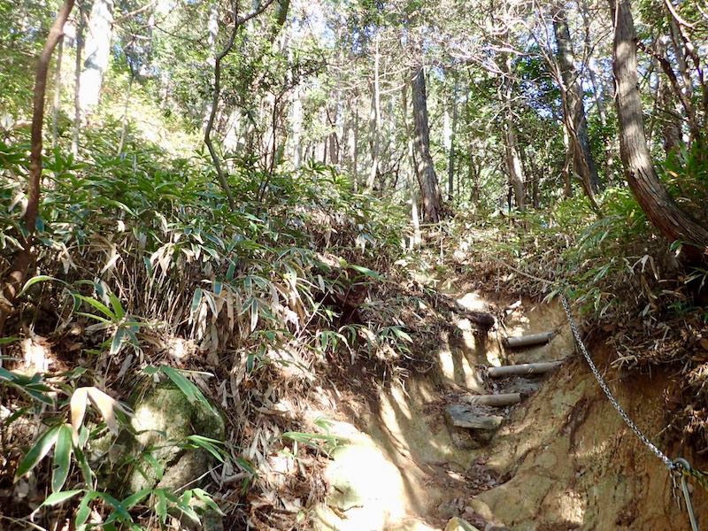 急登となったがあと少しだ