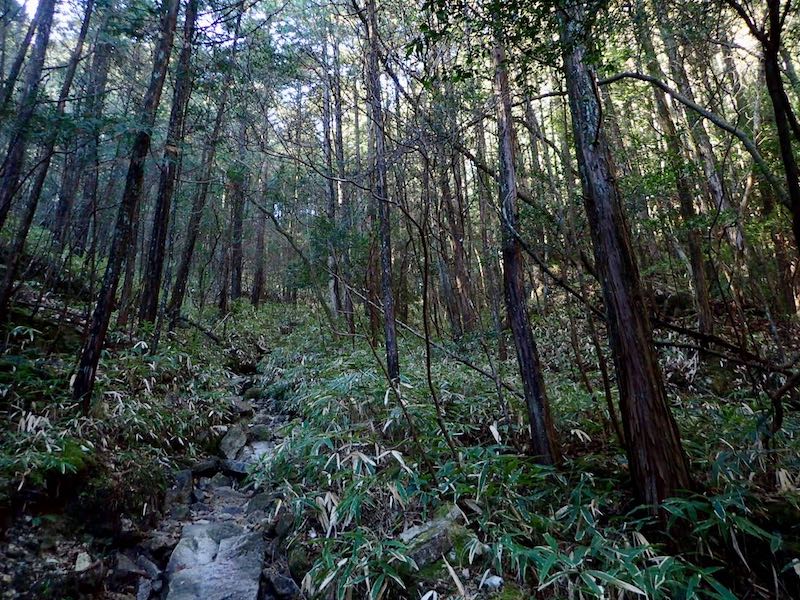 緩やかになった