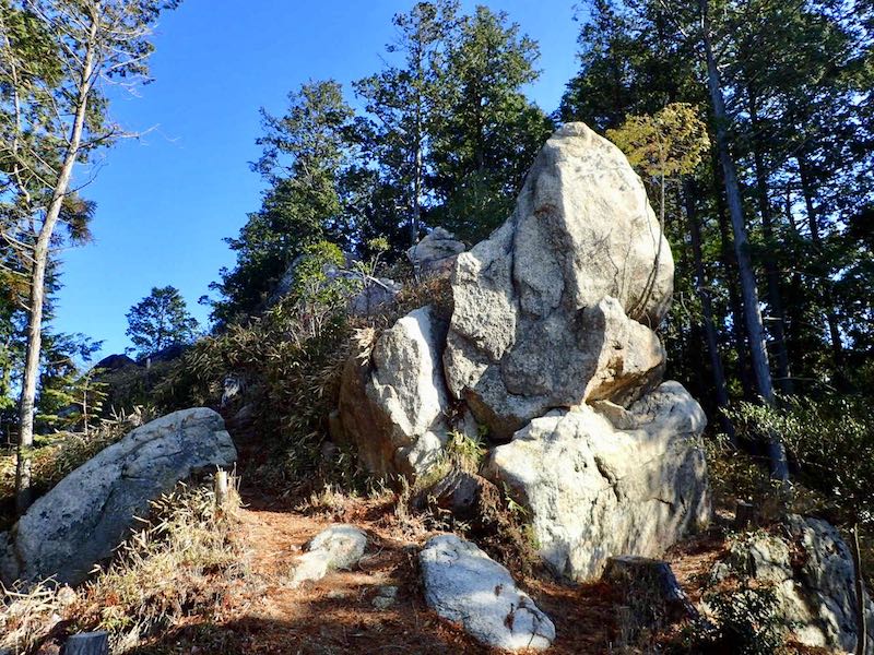 行場が終わり尾根に上がってきた