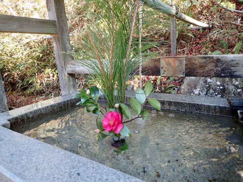 飯道山入口の手水には花が生けられていた