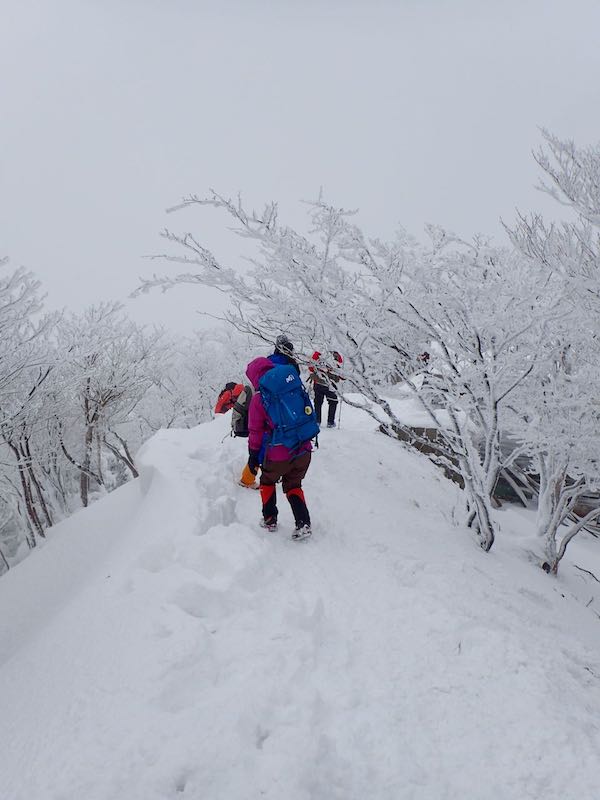 関西の雪山・霧氷バスで髙見山　強風で冷えた身体も温泉でほっこり　日帰りハイク