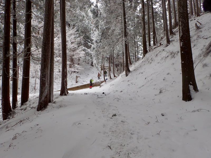 林道が横切る「小峠」 大峠へは右へ
