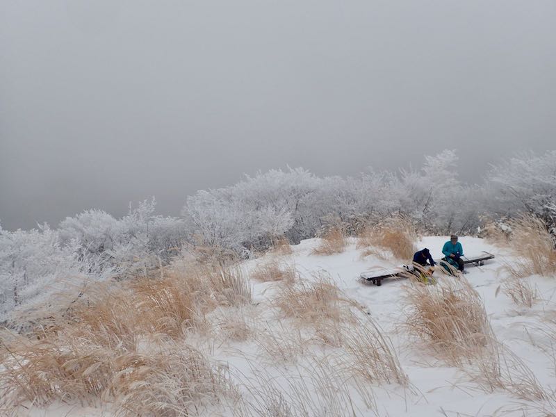 高見峠（大峠）から急登を登りきる