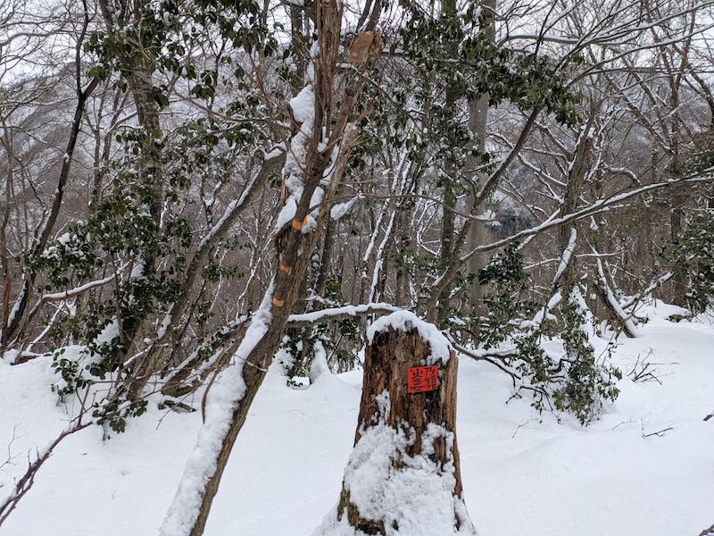 ここで北へ下りて行く