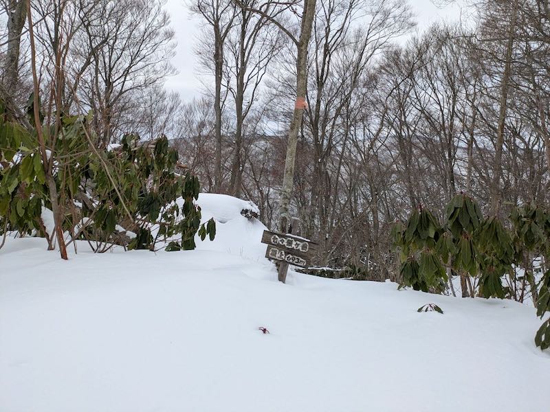 三角点はこちらにあるらしい