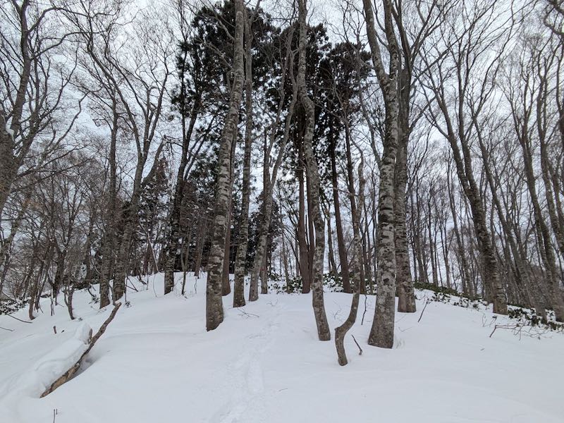 観音堂から北へ少し下りたところで振り返る