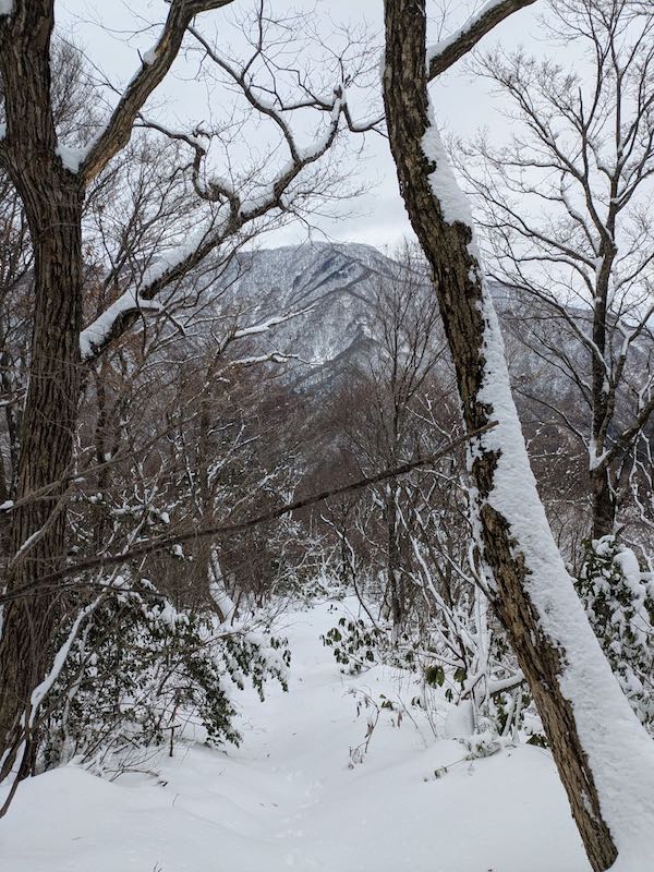 横山岳を正面に見ながら下りて行く