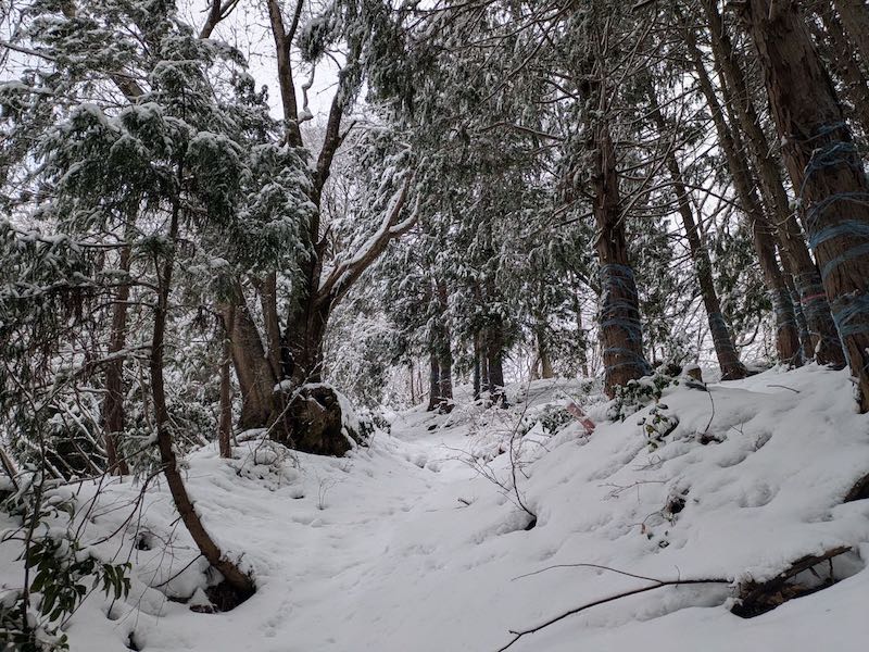 雪がだんだん深くなってきた