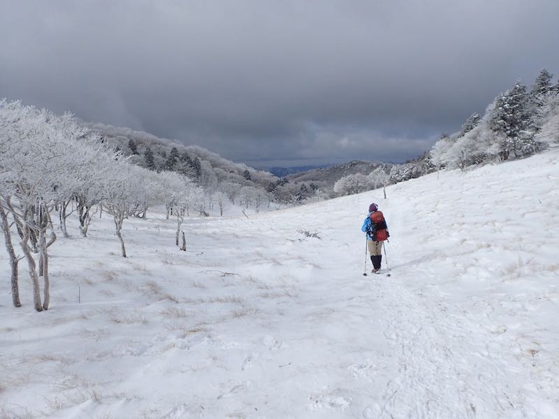 八丁平から新道峠を目指す