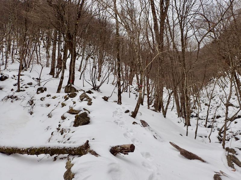 トレースをたどる