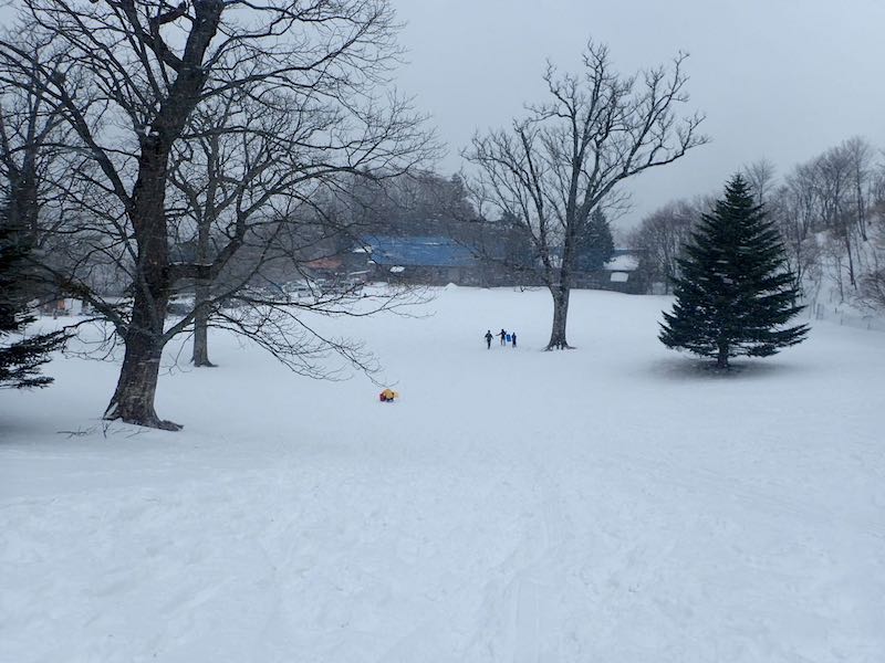 和佐又ヒュッテ前に出てきた