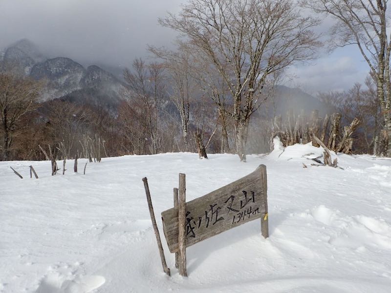和佐又山の頂上