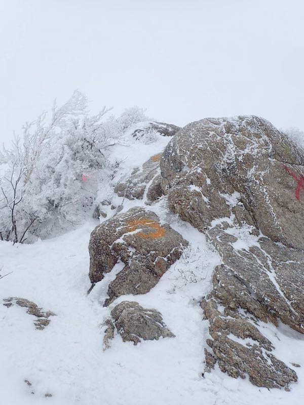 ワンポイントの鎖場