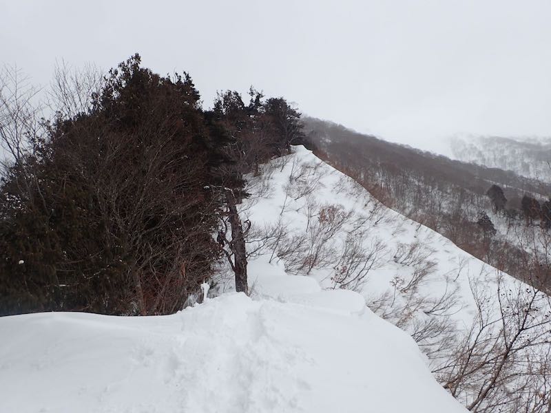 尾根上に上がる。小さな雪庇が出ていた