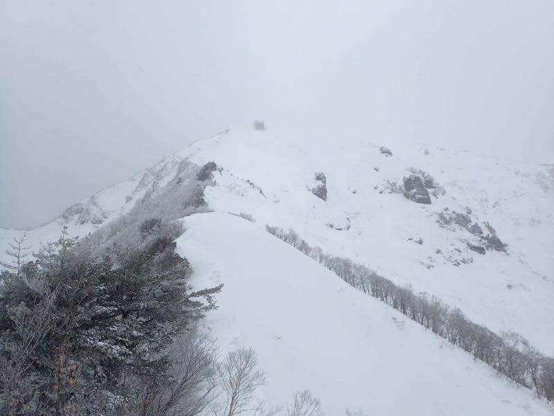 頂上手前の雪の斜面が見えてきた-