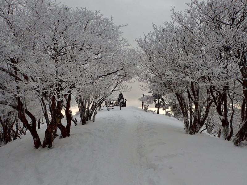 関西の雪山・雪と霧氷の綿向山　地元に愛されている山　