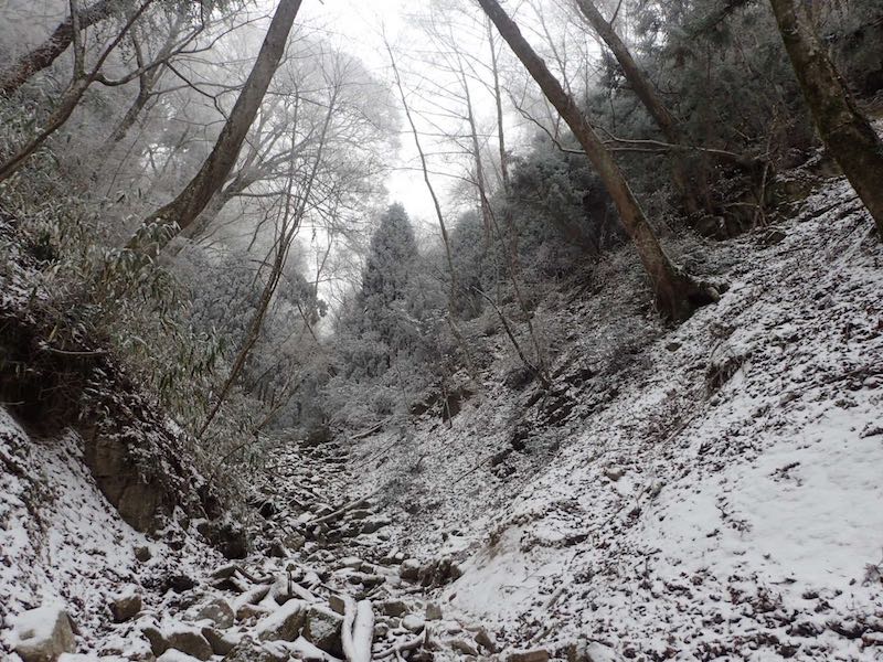 ツツジオ谷を詰めて行く