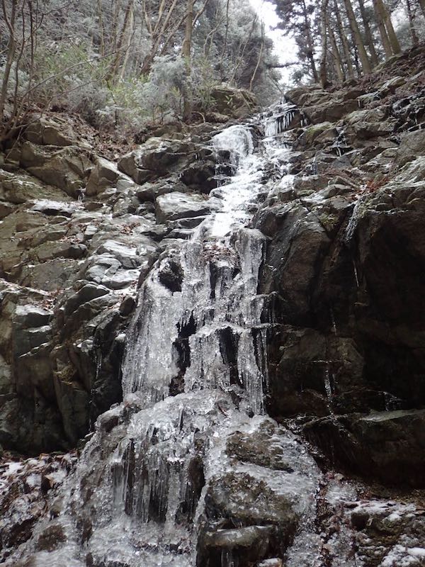 関西の雪山・金剛山ツツジオ谷 下山後は酒蔵で天野酒をおみやげに