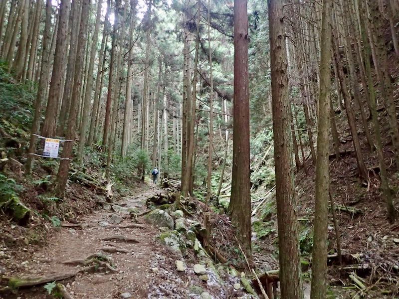 視界の中にはいつも登山者がいる状態